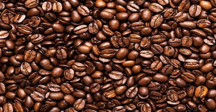 The True Concept of a Coffee Specialty Shop