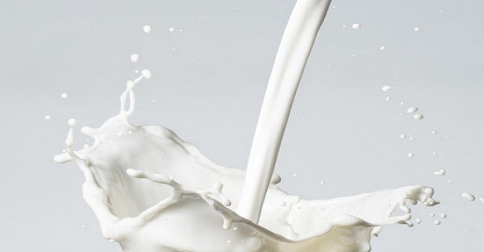 Milk products - an essential part of our diet: