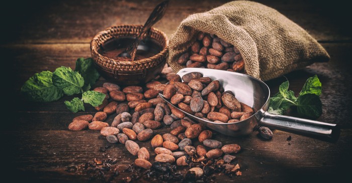 Cocoa demand globally increasing