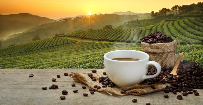 Commodity - Coffee demand, production and market summary 