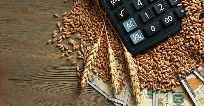 Impact of trade war, GM and weather conditions on wheat trade