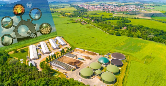 Global diversification in biomass to fulfill growing electricity needs