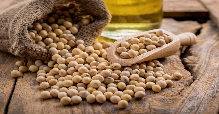 Trade war impact on soybean exports 