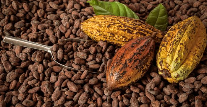 Cocoa Futures Return 28 per cent in 2018