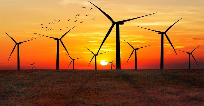 Companies rushing to secure wind power at competitive price