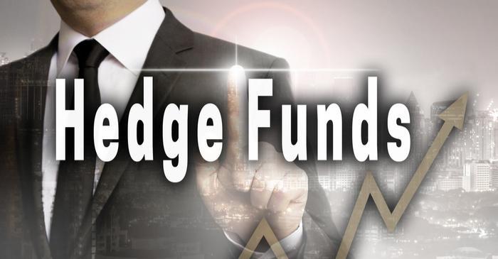 Factors Influencing Hedge Fund Gains