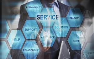 Business Services and support sector