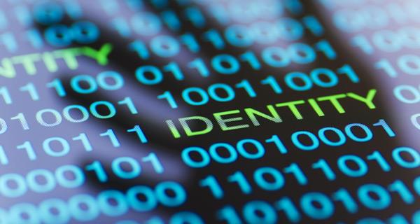 Identity fraud and identity theft