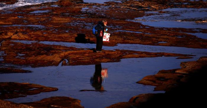 A man carries a Coles supermarket plastic bag as he walks along rocks at Dee Why Beach, located