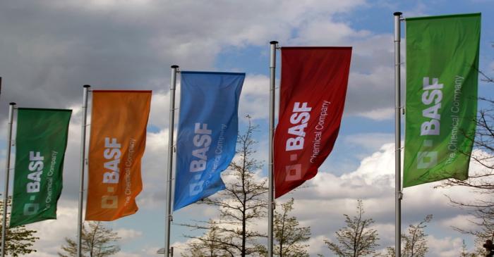 FILE PHOTO: Flags of the German chemical company BASF are pictured in Monheim