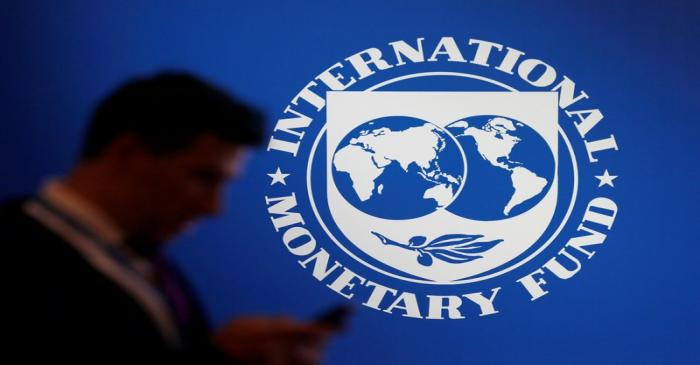 FILE PHOTO: A participant stands near a logo of IMF at the International Monetary Fund - World