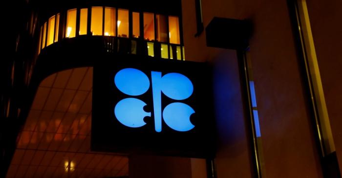 FILE PHOTO: The OPEC logo at the oil producer group's Vienna headquarters