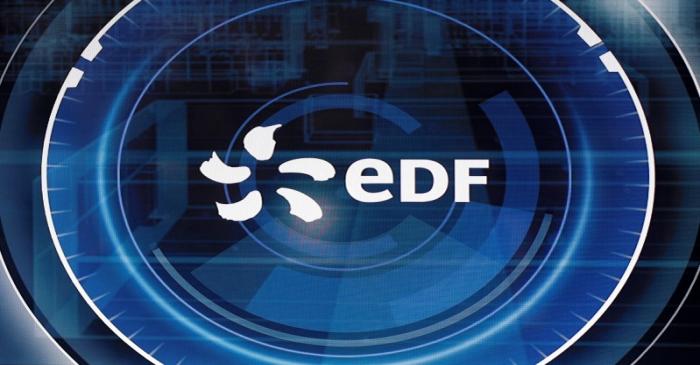 FILE PHOTO - The logo of Electricite de France SA (EDF) is pictured at the World Nuclear