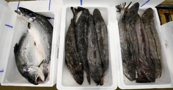FILE PHOTO: Scottish salmon is pictured at the fish pavilion in the Rungis International