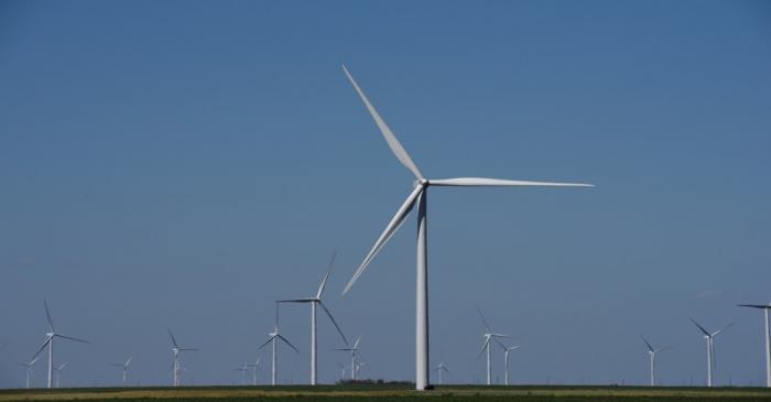 FILE PHOTO: Wind turbines generate power on a farm near Throckmorton