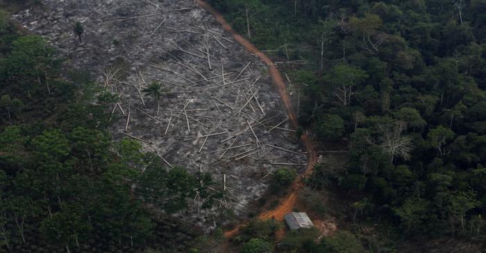 FILE PHOTO: An aerial view of a deforested plot of the Amazon at the Bom Futuro National Forest