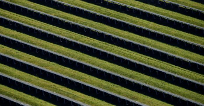 FILE PHOTO: General view of photovoltaic (solar) panels near Munich