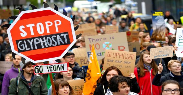 FILE PHOTO: Protests ahead of German drug and crop chemical maker Bayer's annual general