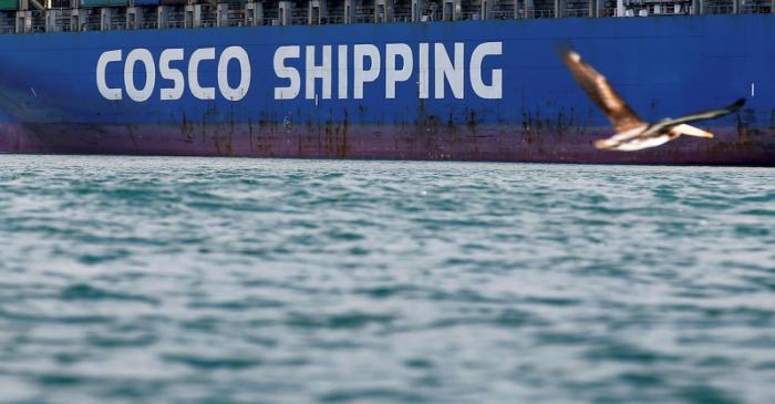 A bird flies by a China Ocean Shipping Company (COSCO) container ship at the San Antonio port