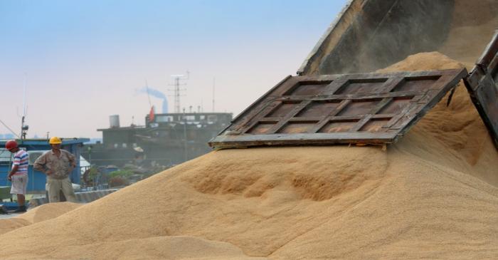 FILE PHOTO: Worker looks on as imported soybeans are transported at a port in Nantong