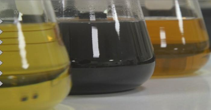 Jars of bacterial dye in a laboratory at biotech firm Colorifix in Norwich