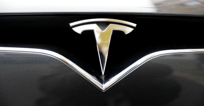 FILE PHOTO: The company logo is pictured on a Tesla Model X electric car in Berlin