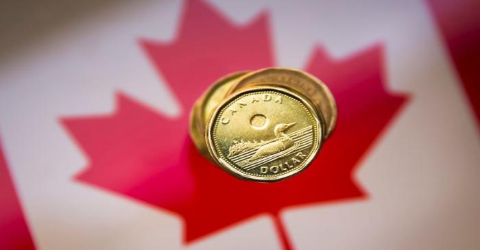 A Canadian dollar coin, commonly known as the 