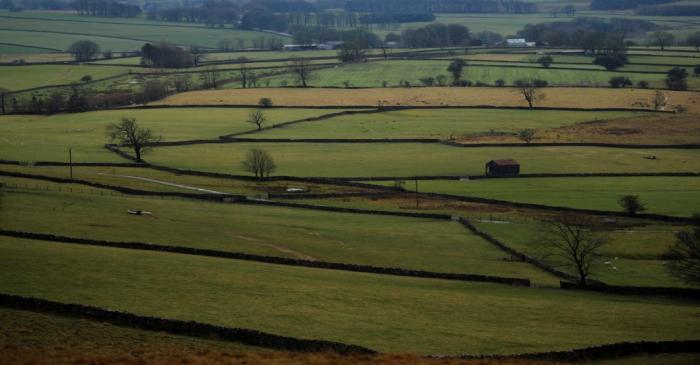 FILE PHOTO: Farmers fields are seen near Appleby in Cumbria, Britain