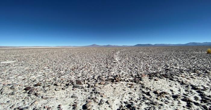 A view of Pedernales Salt Flat in the Atacama Desert