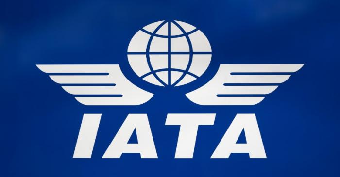 FILE PHOTO:  A logo of IATA is pictured in Geneva