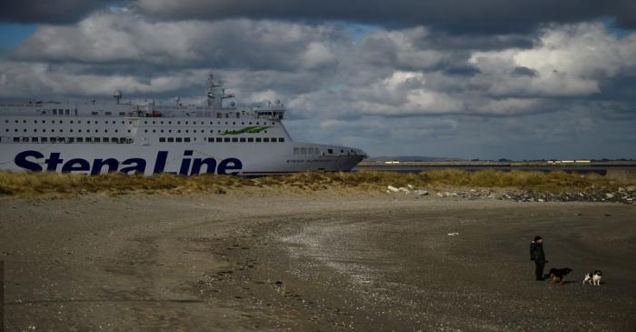 A Stena Line ferry sails past a woman and her dogs on a beach in Dublin