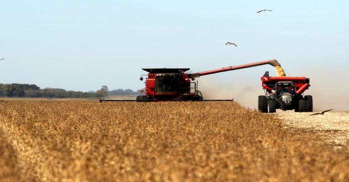 FILE PHOTO: Soybean plants are harvested at a field in the city of Chacabuco, Argentina