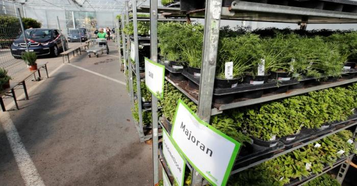 Outbreak of the coronavirus disease (COVID-19), in Schinznach-Dorf