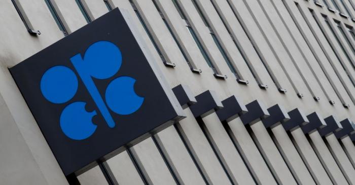 FILE PHOTO: The logo of the Organisation of the Petroleum Exporting Countries (OPEC) sits