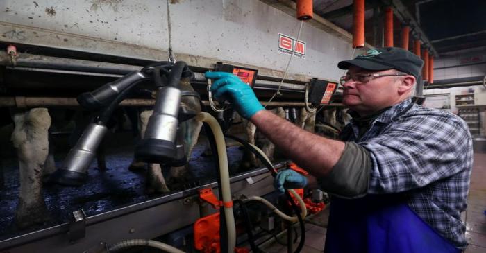 Belgian dairy farmer Yvon Deknudt works at his farm during the lockdown imposed by the