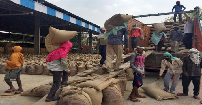 Workers load sacks of wheat onto a supply truck at the Gharaunda Grains Market in Karnal