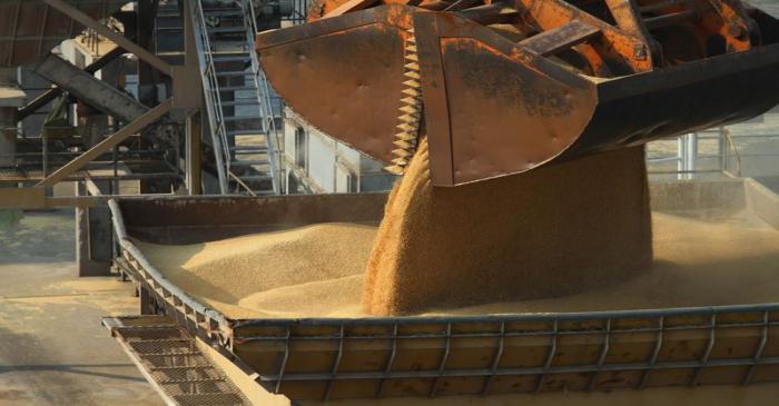 FILE PHOTO:  Imported barley is transported from a cargo ship at the port of Nantong