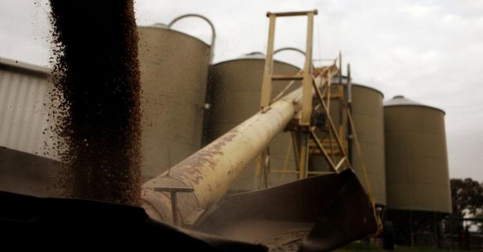 FILE PHOTO: Silos are loaded with barley in a farm near Gunnedah