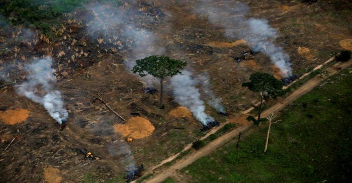 FILE PHOTO: An aerial view shows a deforested plot of the Amazon near Porto Velho