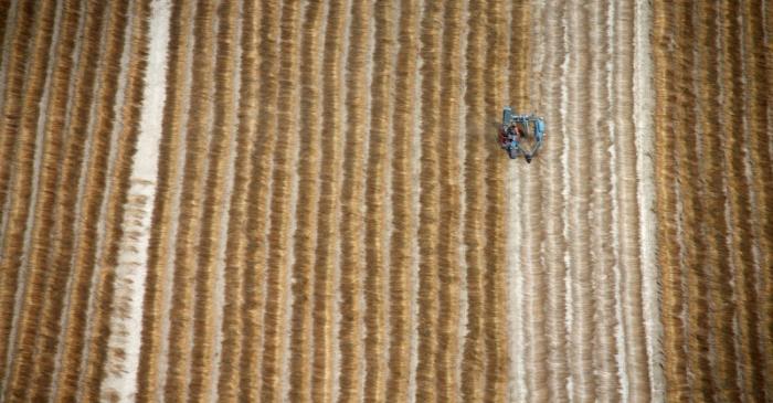 FILE PHOTO: A farmer works in a flax field after harvest in Marck-en Calaisis, near Calais