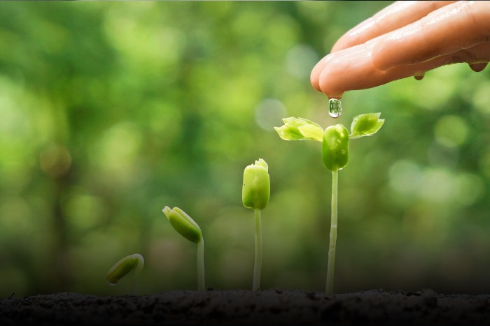 Green finance is gaining traction for net zero transition in India