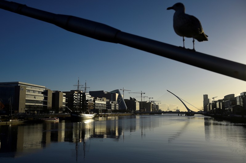 FILE PHOTO: A sea bird perches on a bridge in the financial district of Dublin
