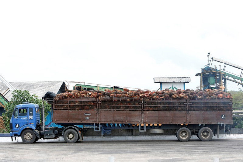 Palm oil fruit bunches are delivered to a mill in Bahau, Negeri Sembilan