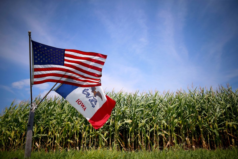 FILE PHOTO: File photo of a U.S. and Iowa state flag are seen next to a corn field in Grand