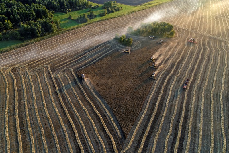 An aerial view shows combines harvesting wheat in a field of the Solgonskoye private farm