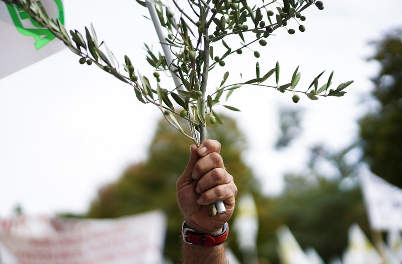 Spanish olive oil producers protest over fair prices in Madrid