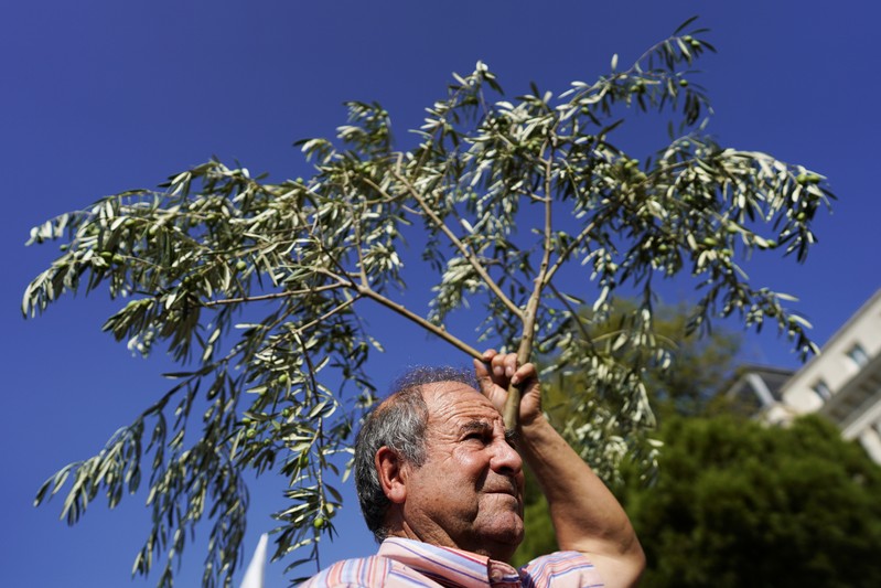Spanish olive oil producers protest over fair prices in Madrid