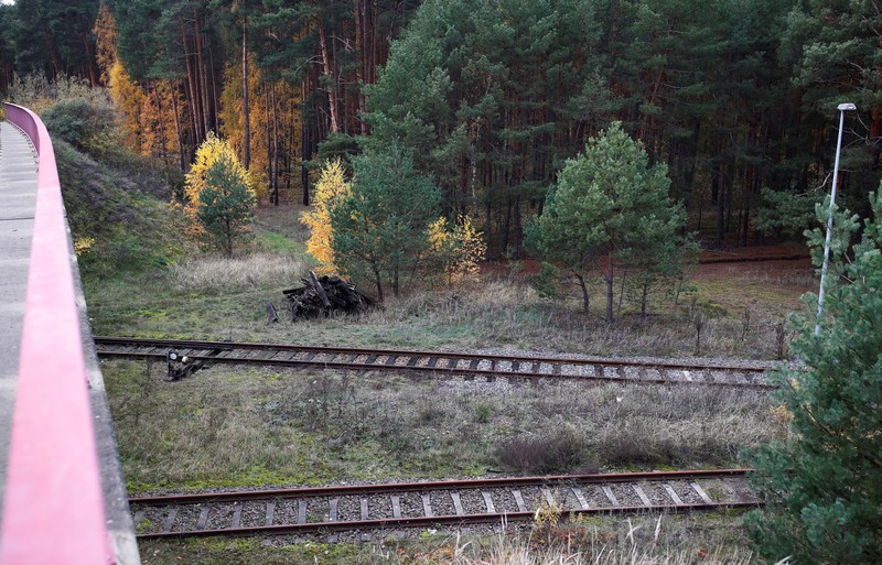 Railroad tracks are pictured at Freienbrink district of Gruenheide near Berlin