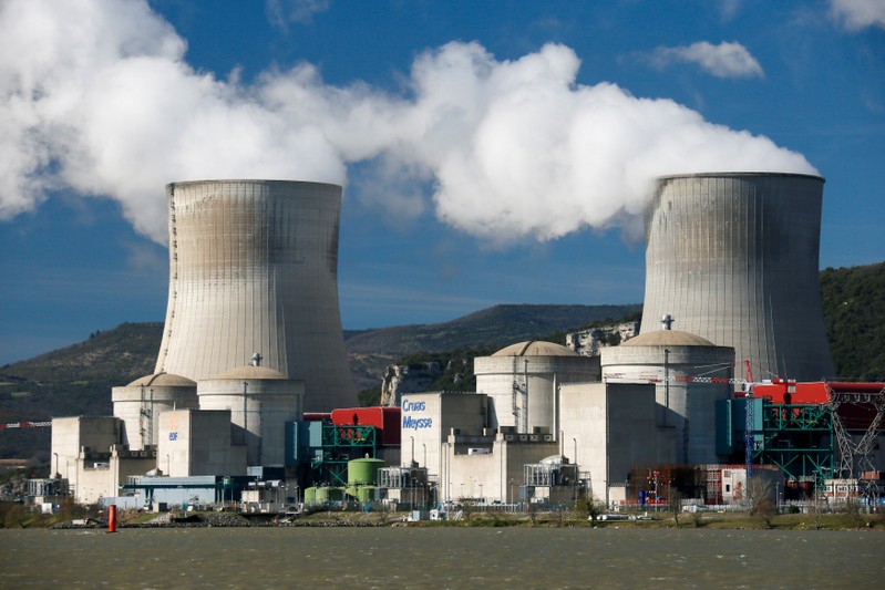 FILE PHOTO: External view of the Cruas-Meysse nuclear plant