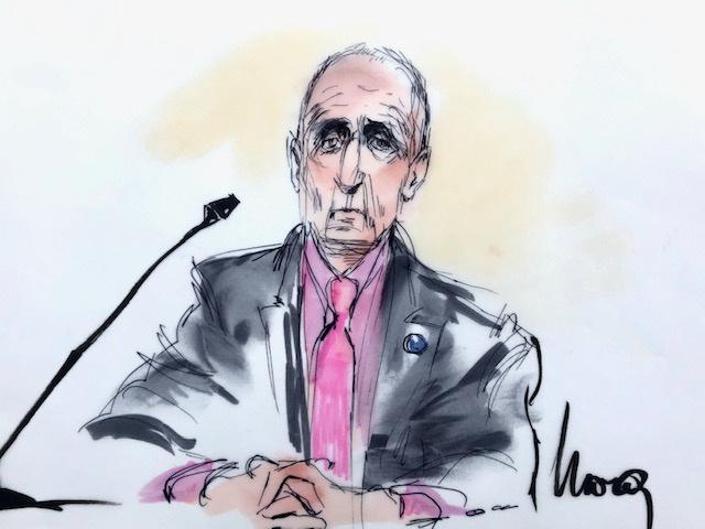 Courtroom sketch shows British cave diver Vernon Unsworth during the trial in a defamation case